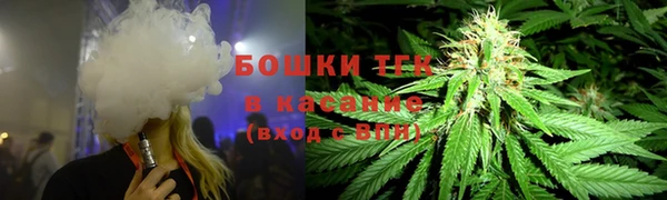 ПСИЛОЦИБИНОВЫЕ ГРИБЫ Алзамай