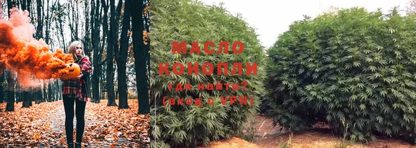 PSILOCYBIN Армянск