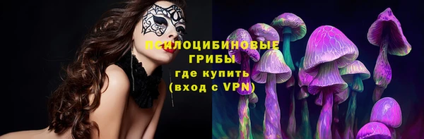 ПСИЛОЦИБИНОВЫЕ ГРИБЫ Алзамай