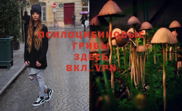 PSILOCYBIN Армянск