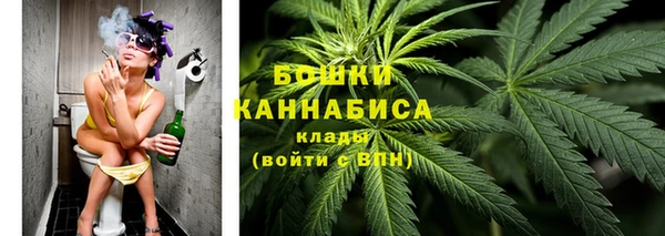 PSILOCYBIN Армянск