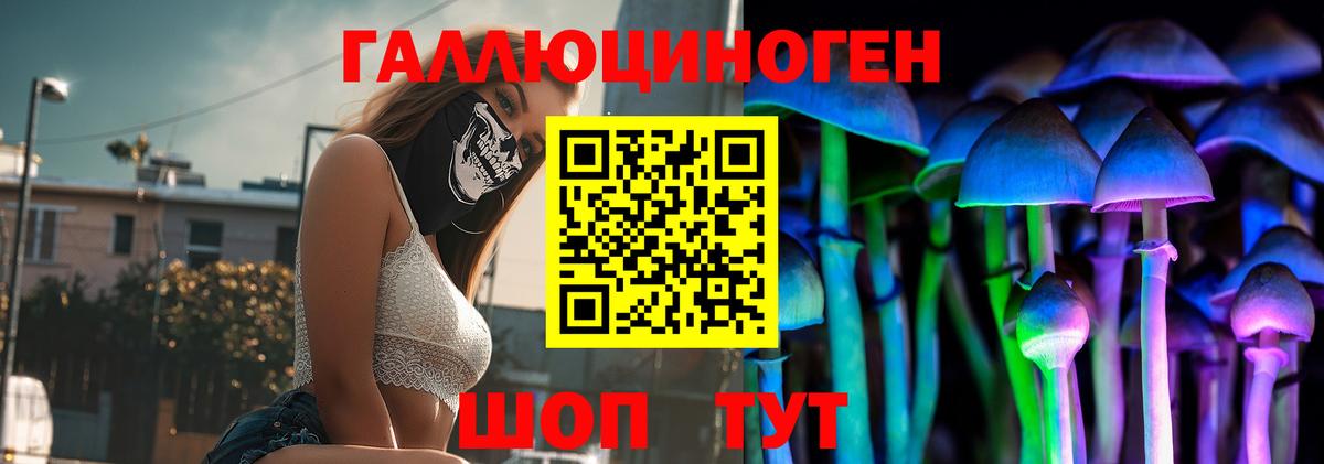 Псилоцибиновые грибы ЛСД  Псилоцибиновые грибы GOLDEN TEACHER  Вход с VPN  Ярославль 