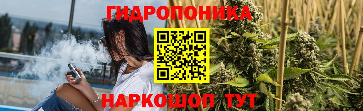 Каннабис планчик  Бошки марихуана White Widow  Шишки марихуана марихуана  Ярославль  Вход с VPN  Канабис LSD WEED 